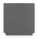 WEBER CRAFTED Pizza Stone?