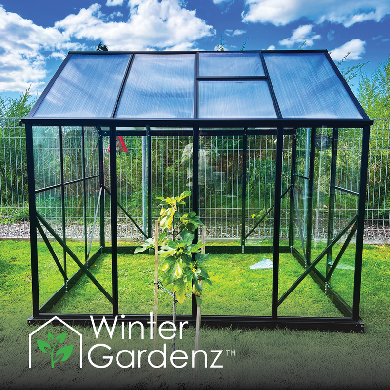 6x8 Toughened Glass