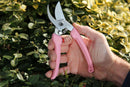 ARS Bypass Secateur Pruner - Pink Handles - 18.7CM