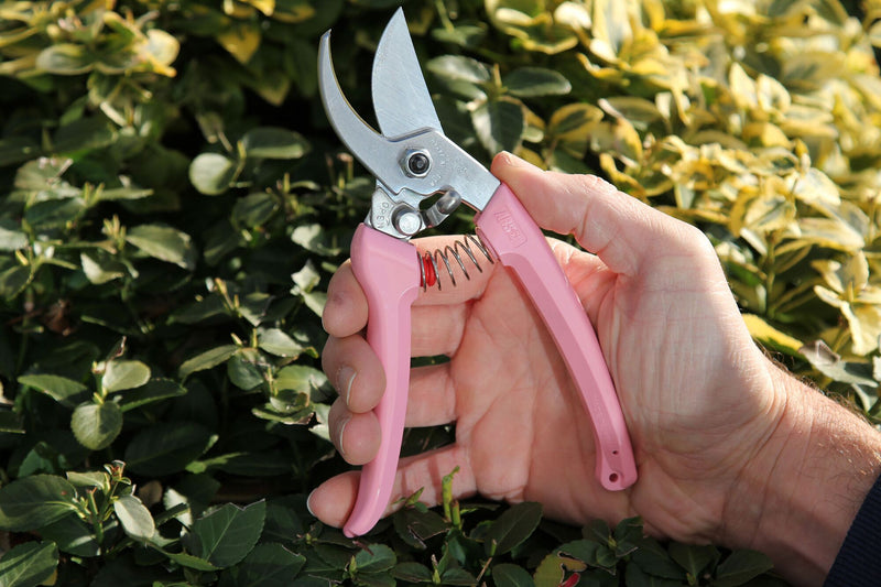 ARS Bypass Secateur Pruner - Pink Handles - 18.7CM