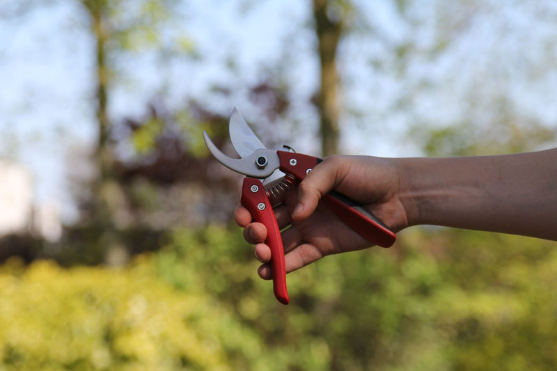 ARS CB-8 Secateurs Pruning Shears - 20.5CM
