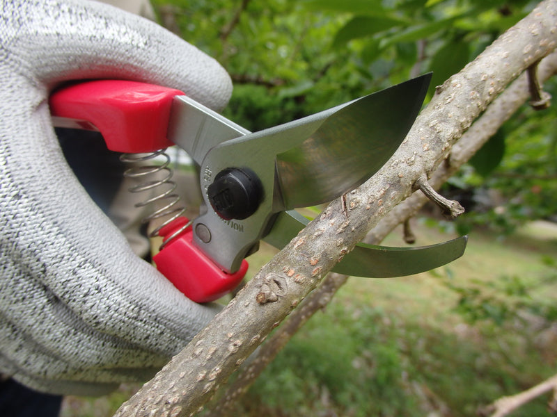 ARS Bypass Secateur Pruner - Red Handles - 18.7CM
