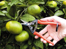 ARS Longnose Fruit Pruners