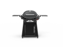 Weber Q 3200N ULPG Charcoal Grey