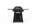 Weber Q 3200N ULPG Midnight Black