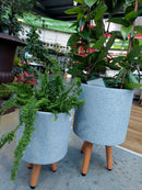 Asher Tripod Cement S