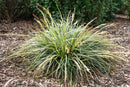 Carex Moonfalls 1.9L