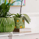 Daisy Cylinder Pot Green 16.5 CM