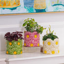 Daisy Cylinder Pot Green 16.5 CM