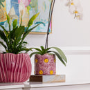 Daisy Cylinder Pot Sand 16.5 CM