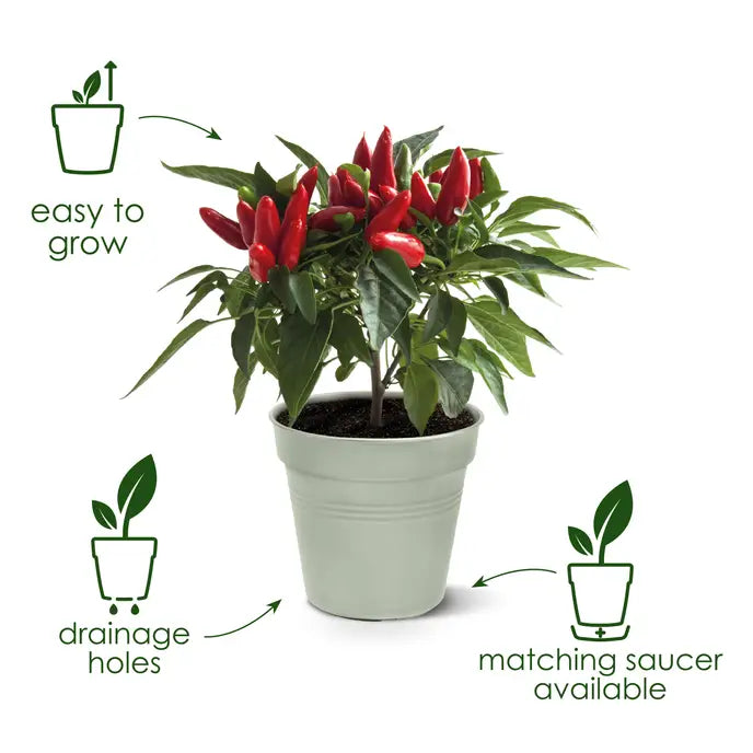 Green Basics Grow Pot Green 19CM