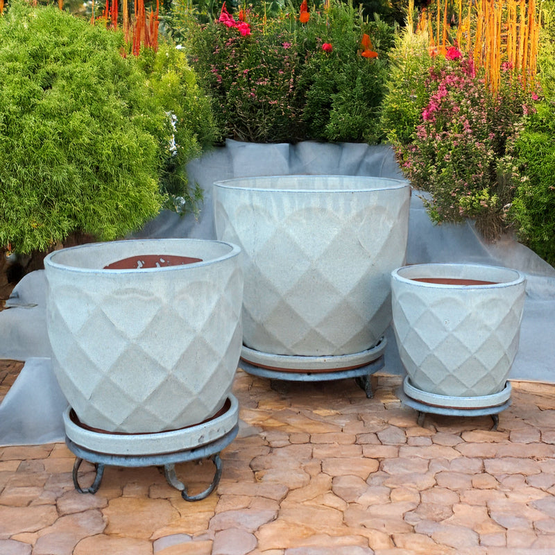 Palmers Branded Glazed Diamond Pot with Saucer -  S