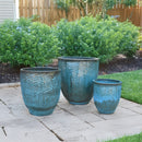 Palmers Branded Glazed Egg Tall - M