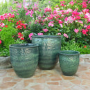 Palmers Branded Glazed Egg Tall - L