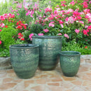 Palmers Branded Glazed Egg Tall - M