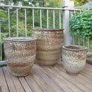 Palmers Branded Glazed Egg Tall - M