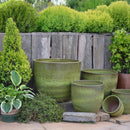 Palmers Branded Glazed Egg - L