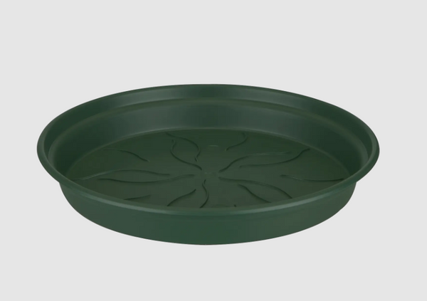 Green Basics Saucer Green 10CM