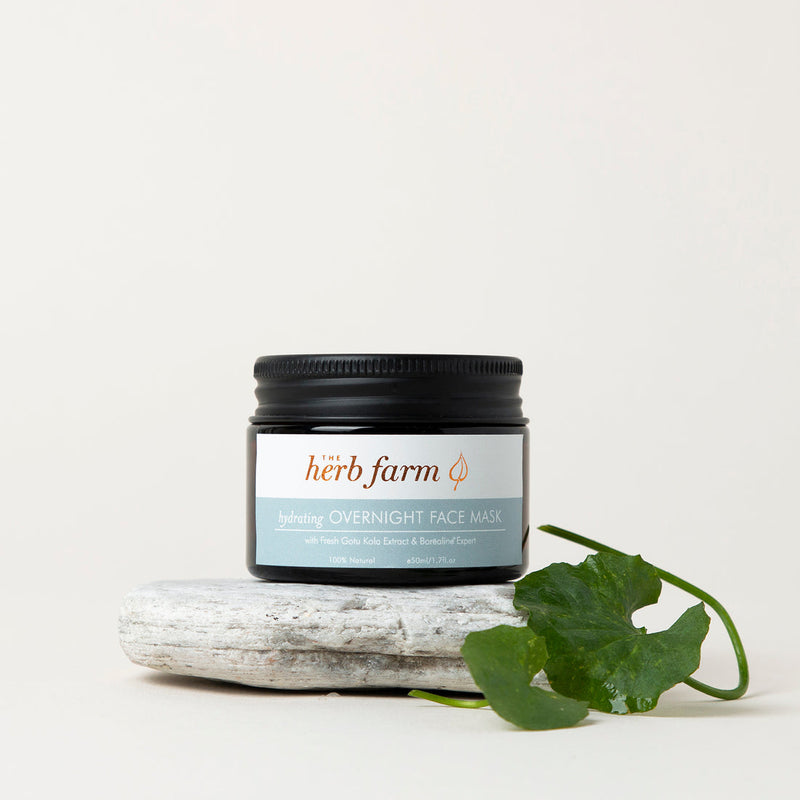 Hydrating Overnight Face Mask 50ML