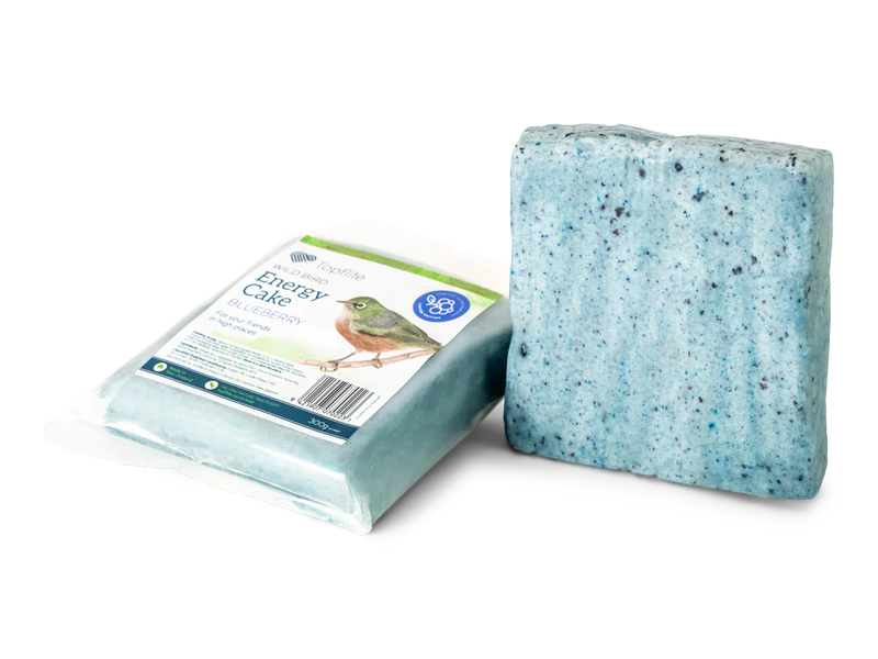 Blueberry Energy Cakes