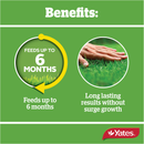 Yates Lawn Fertiliser Twice A Year - 3KG