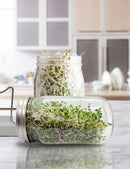 Twin Sprouter Jar Grow Kit
