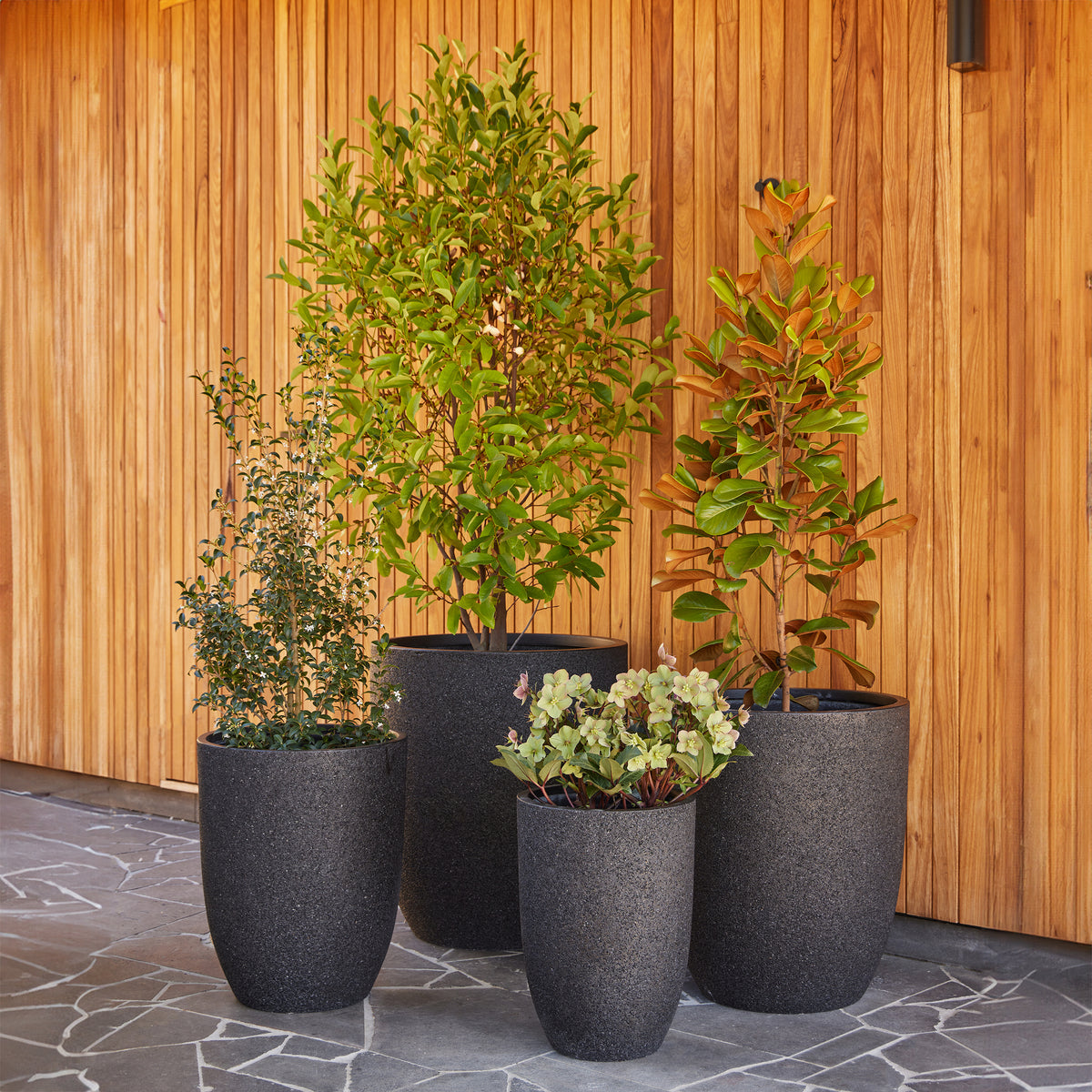 large pots for plants nz Chambers U Pot - Black Stone - Large