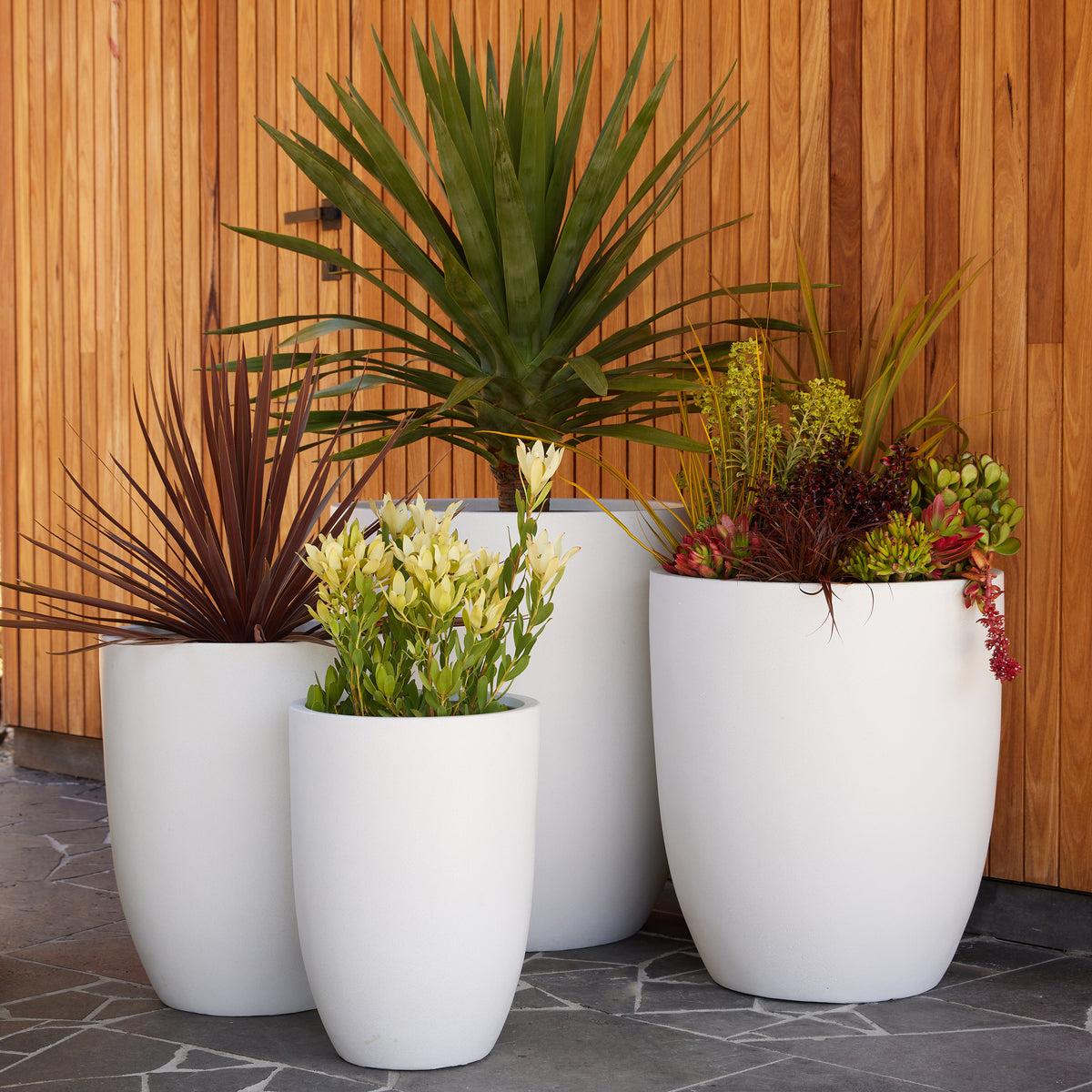 white plant pots nz Chambers U Pot - White - Extra Large