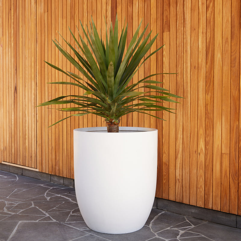 white plant pots nz Chambers U Pot - White - Extra Large