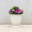 Provincial URN Pot - Cream XL
