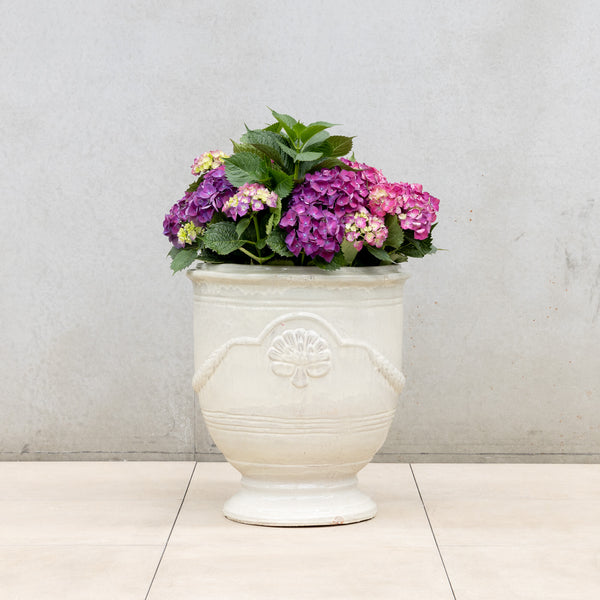 Provincial URN Pot - Cream XL