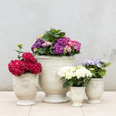 Provincial URN Pot - Cream S