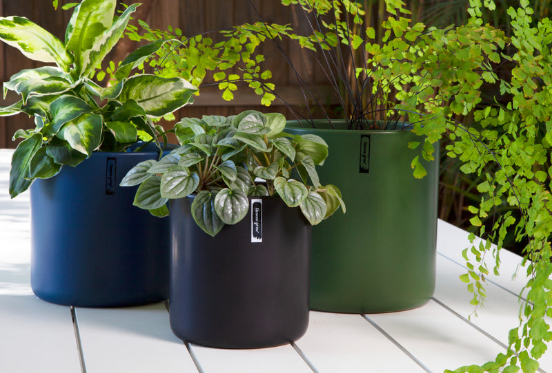 Resene Niki Pot Ocean Waves 21CM