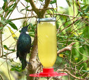 Nectar Feeder
