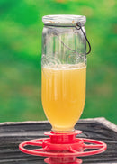 Nectar Feeder