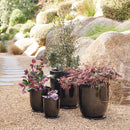 High Cup Pot with Saucer - Black L