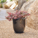 High Cup Pot with Saucer - Black L