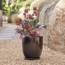 High Cup Pot with Saucer - Black M