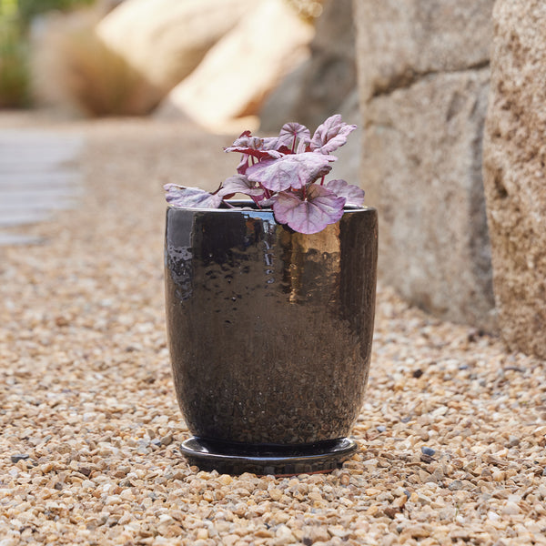 High Cup Pot with Saucer - Black S
