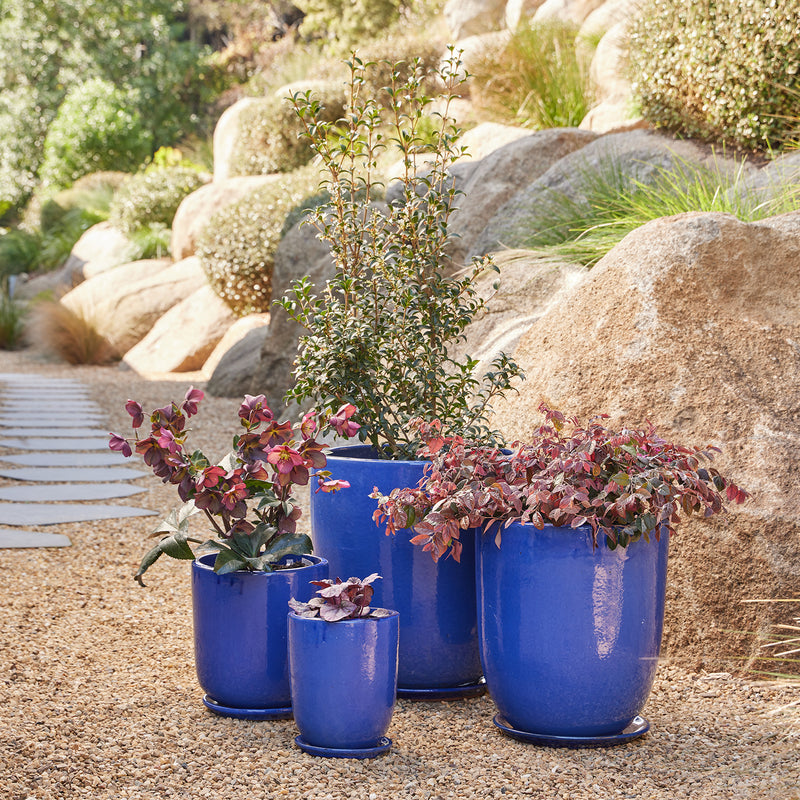 High Cup Pot with Saucer - Blue XL