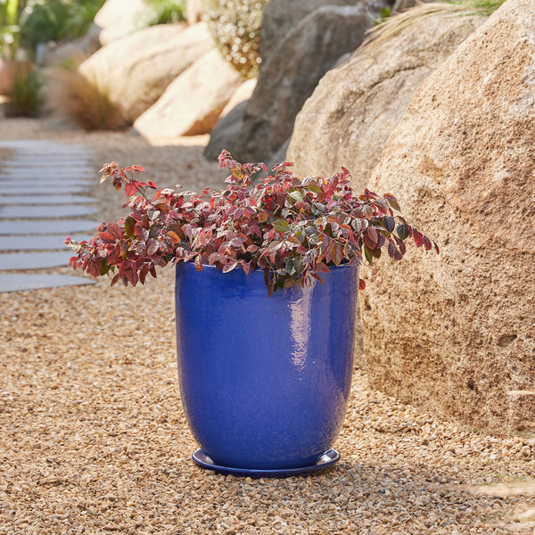 High Cup Pot with Saucer - Blue L