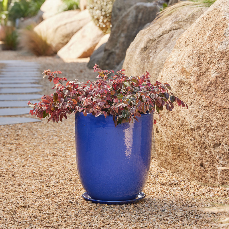 High Cup Pot with Saucer - Blue L