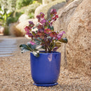 High Cup Pot with Saucer - Blue M