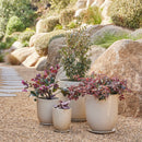 High Cup Pot with Saucer - Cream S