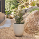 High Cup Pot with Saucer - Cream XL