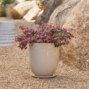 High Cup Pot with Saucer - Cream L