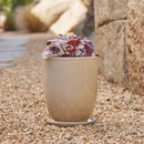 High Cup Pot with Saucer - Cream S