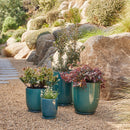 High Cup Pot with Saucer - Green M