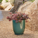 High Cup Pot with Saucer - Green L