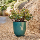 High Cup Pot with Saucer - Green M